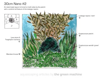 TGM Planting On A Budget Guide - 100cm Aquarium Sketch