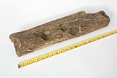 Image of petrified or fossilised wood large - buy aquatic hardscape online