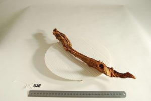 Product Image at The Green Machine