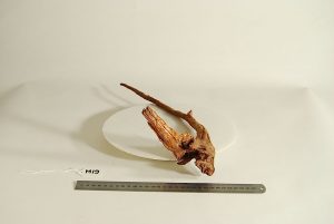 Product Image at The Green Machine