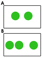 Example iwagumi Layouts Diagram