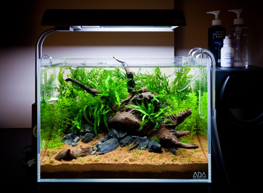 ADA Mini M Nature Aquarium Step-by Step Photo - The tank is moved to its new position and the filter is connected to the ADA glassware along with the CO2 