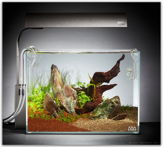 Ada aquarium cheap products online