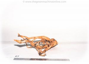 Product Image at The Green Machine