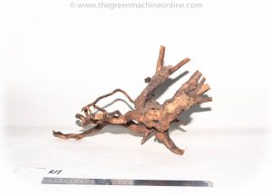 Product Image at The Green Machine