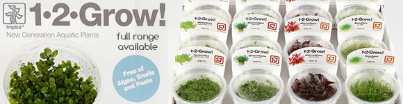 Tropica 1-2-Grow Aquatic Plants Available Now from The Green Machine