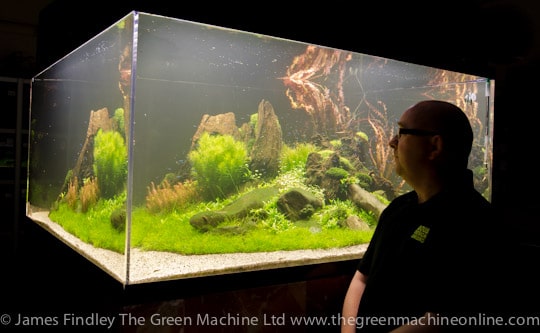 Nature's Chaos Aquascape by James Findley