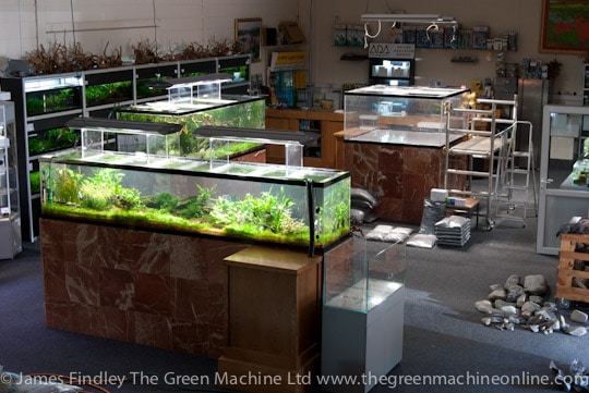 Nature's Chaos Aquascape by James Findley