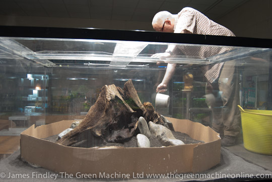 Nature's Chaos Aquascape by James Findley