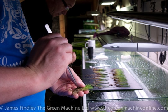 Nature's Chaos Aquascape by James Findley