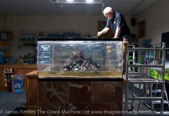 Nature's Chaos Aquascape by James Findley