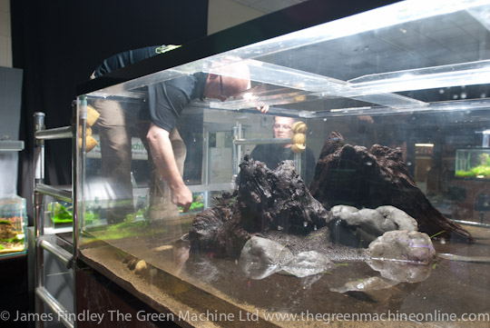 Nature's Chaos Aquascape by James Findley