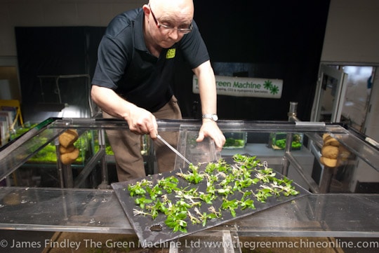 Nature's Chaos Aquascape by James Findley