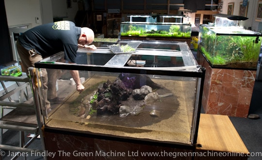 Nature's Chaos Aquascape by James Findley