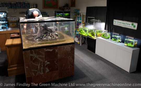 Nature's Chaos Aquascape by James Findley