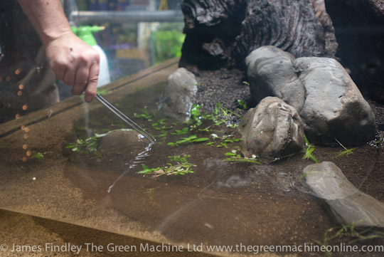 Nature's Chaos Aquascape by James Findley