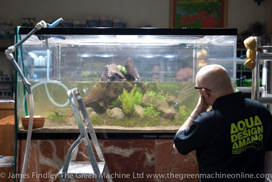 Nature's Chaos Aquascape by James Findley