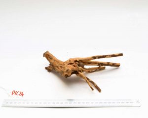 Product Image at The Green Machine