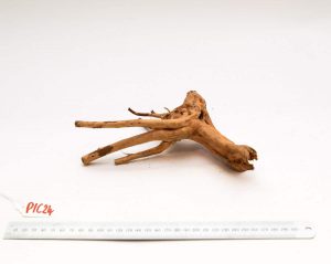 Product Image at The Green Machine