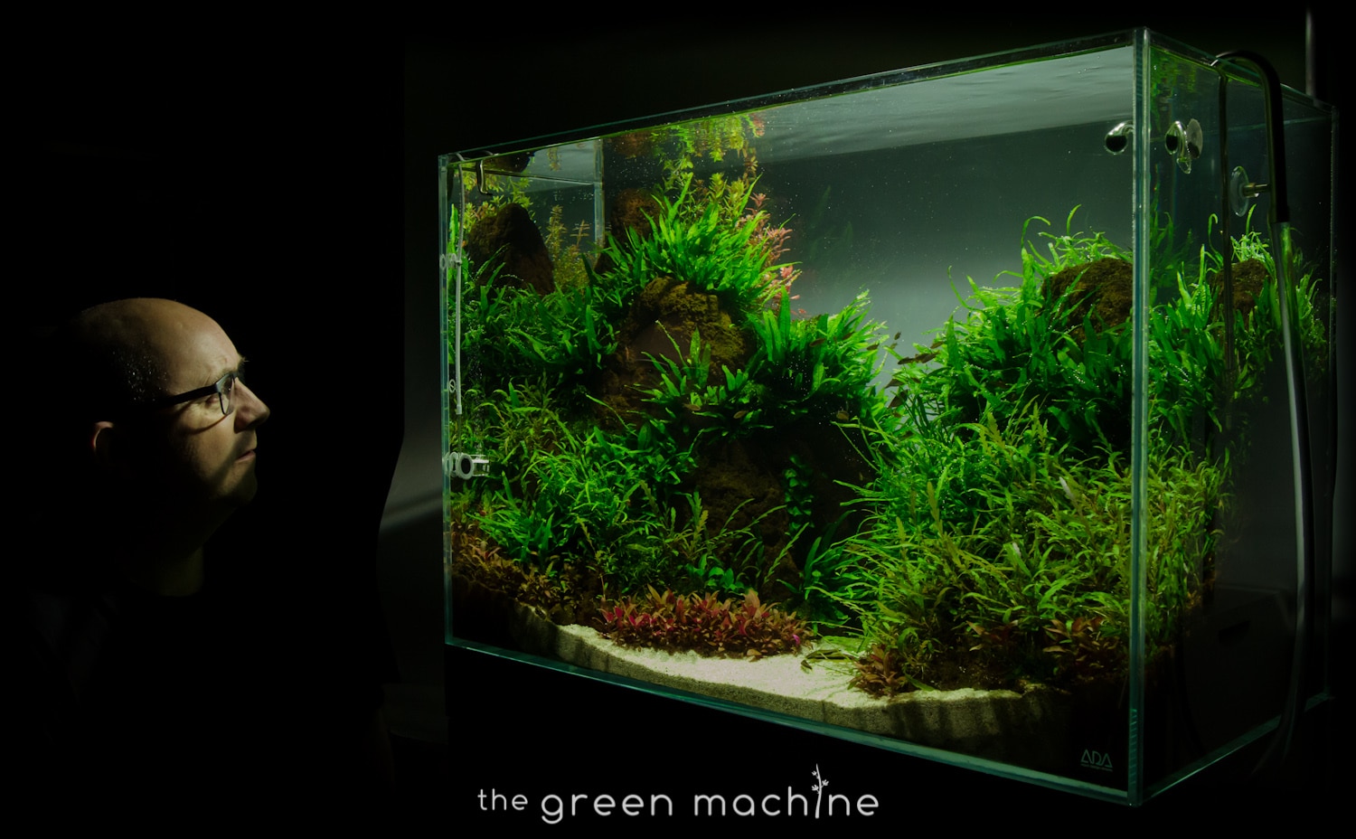 Altitude' Aquascape by James Findley – Aquascape Art – The Green Machine