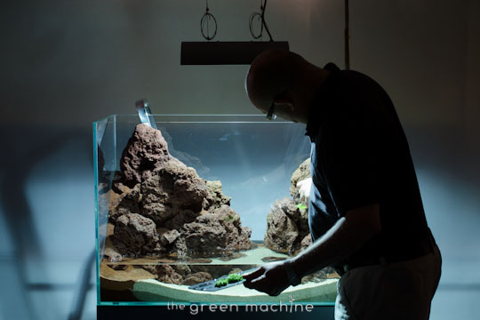 Altitude Nature Aquarium Aquascape by aquascaper James Findley