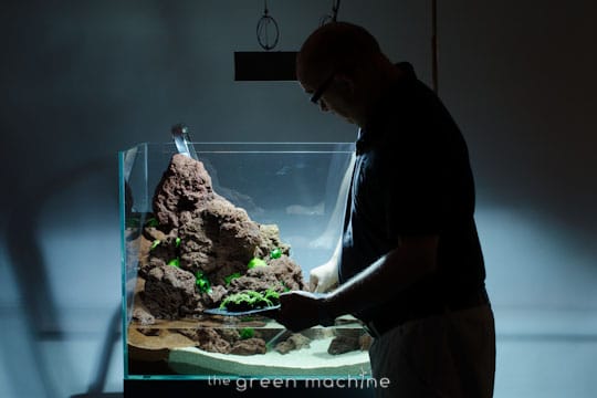 Altitude Nature Aquarium Aquascape by aquascaper James Findley