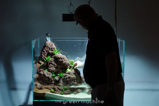 Altitude Nature Aquarium Aquascape by aquascaper James Findley