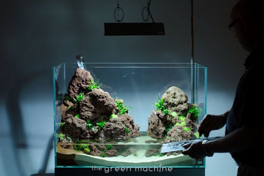 Altitude Nature Aquarium Aquascape by aquascaper James Findley