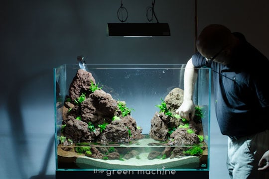 Altitude Nature Aquarium Aquascape by aquascaper James Findley