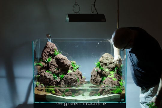 Altitude Nature Aquarium Aquascape by aquascaper James Findley