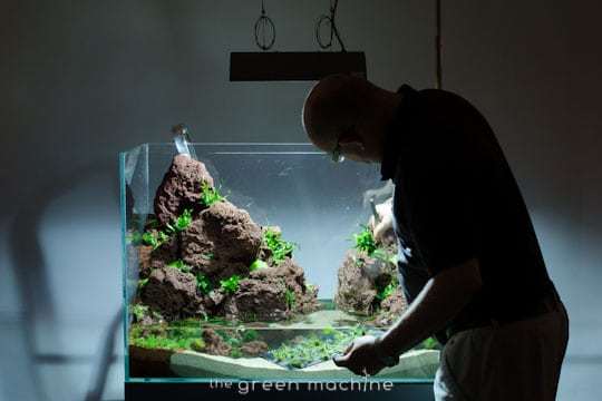 Altitude Nature Aquarium Aquascape by aquascaper James Findley