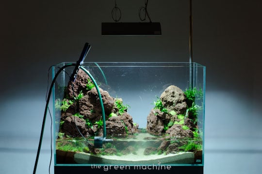 Altitude Nature Aquarium Aquascape by aquascaper James Findley