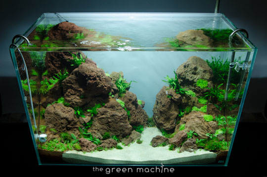 Altitude Nature Aquarium Aquascape by aquascaper James Findley