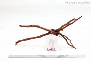 Product Image at The Green Machine