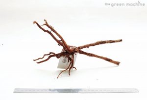 Product Image at The Green Machine