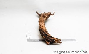 Product Image at The Green Machine