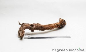 Product Image at The Green Machine