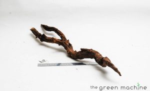 Product Image at The Green Machine