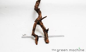 Product Image at The Green Machine