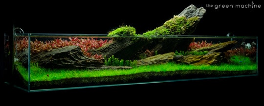 Crimson Sky Aquascape by James Findley