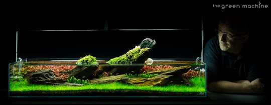 Crimson Sky Aquascape Fish Tank by James Findley