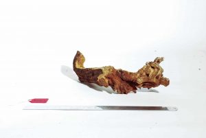Product Image at The Green Machine