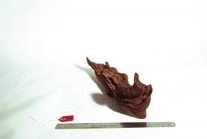 Product Image at The Green Machine