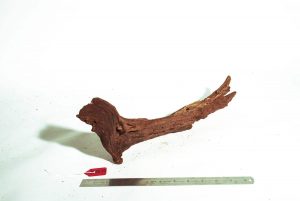 Product Image at The Green Machine