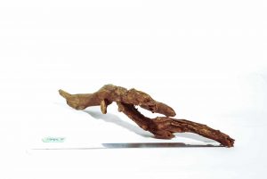 Product Image at The Green Machine