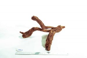 Product Image at The Green Machine