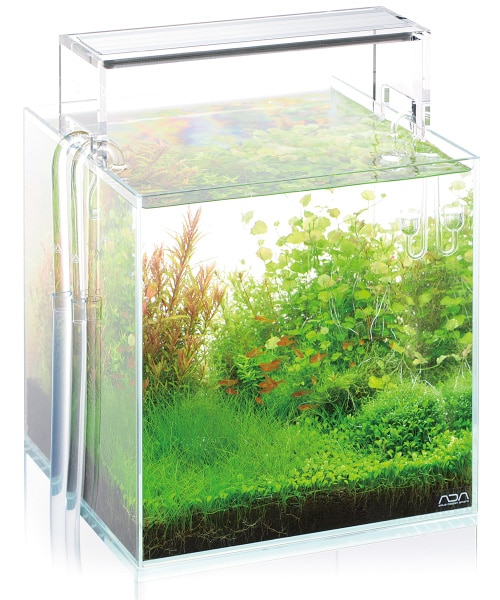 Ada 45 Cube Cabinet Clear Package