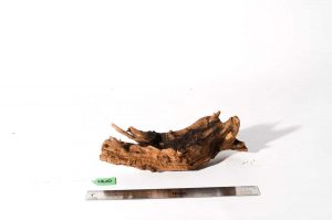 Product Image at The Green Machine