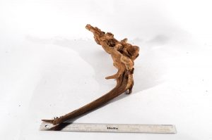 Product Image at The Green Machine