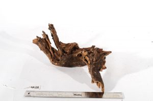 Product Image at The Green Machine